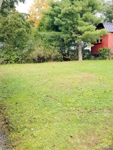 Move In Ready Family Home - image 4
