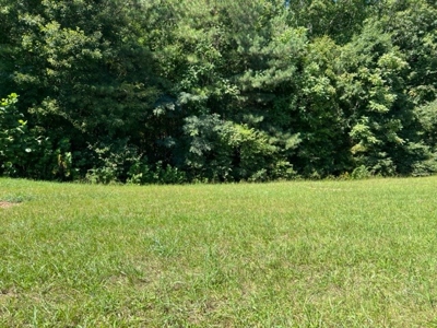New subdivision/ Near Fire Department/ Gainesboro, TN/Lot 3 - image 3