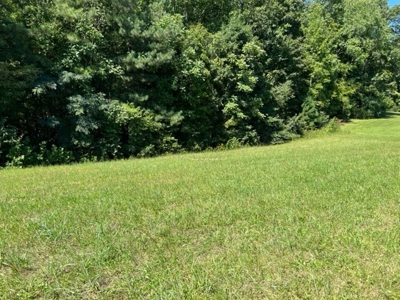 New subdivision/ Near Fire Department/ Gainesboro, TN/Lot 3 - image 2