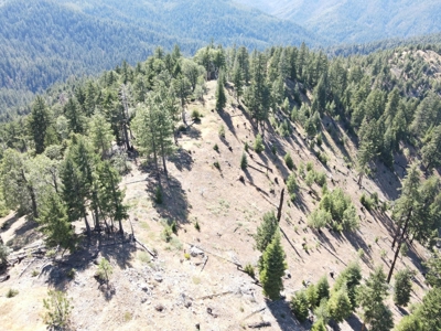 Trinity County, N California Mountain Acreage for Sale - image 1