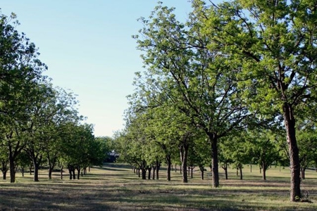 Texas Riverfront Home and Land - image 10