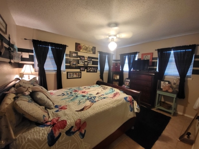 Texas Riverfront Home and Land - image 39