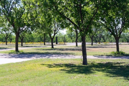 Texas Riverfront Home and Land - image 13
