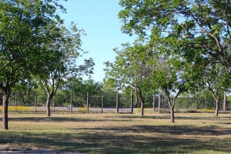 Texas Riverfront Home and Land - image 12