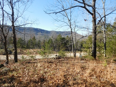 Land For Sale Jasper, Newton County Near Buffalo River - image 4