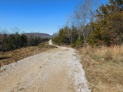 Land For Sale Jasper, Newton County Near Buffalo River - image 5