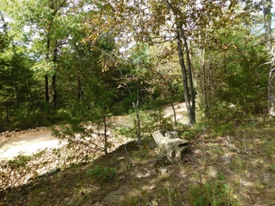 Land For Sale Jasper, Newton County Near Buffalo River - image 3