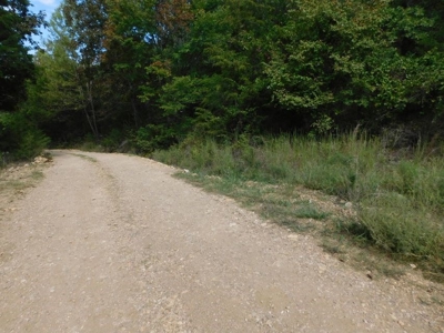 Land For Sale Jasper, Newton County Near Buffalo River - image 2