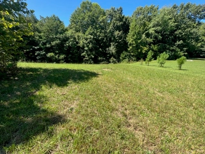 New Subdivision/ Near Fire Station/ Gainesboro, TN/ Lot 4 - image 3