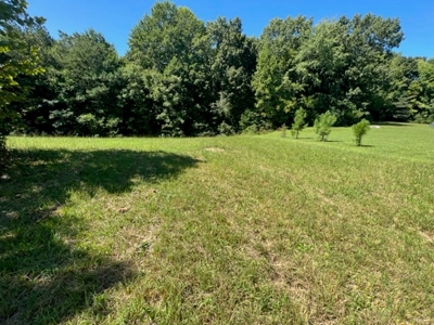 New Subdivision/ Near Fire Station/ Gainesboro, TN/ Lot 4 - image 2