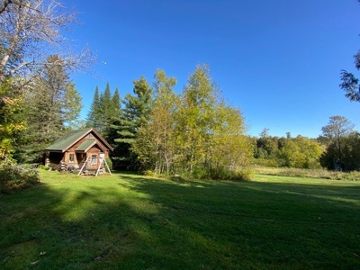 Big Fork Riverfront Property For Sale in Big Falls, MN - image 17