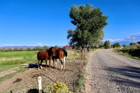 Luxury Country Horse Property with Large Shop Near Montrose - image 29
