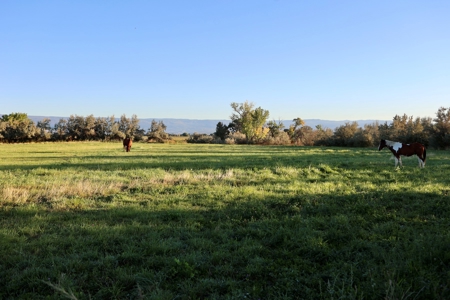 Luxury Country Horse Property with Large Shop Near Montrose - image 3