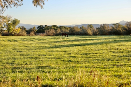 Luxury Country Horse Property with Large Shop Near Montrose - image 2