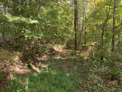 8.44+/- Acres - Bldg. Sites - Open & Woodland - Liberty, Ky - image 1