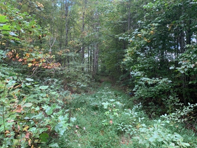8.44+/- Acres - Bldg. Sites - Open & Woodland - Liberty, Ky - image 10