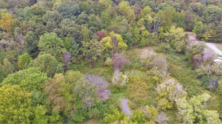 8.44+/- Acres - Bldg. Sites - Open & Woodland - Liberty, Ky - image 11