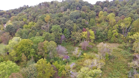 8.44+/- Acres - Bldg. Sites - Open & Woodland - Liberty, Ky - image 12