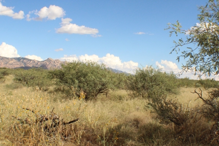 Spectacular panoramic views of the Dragoon Mountains - image 13