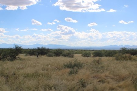 Spectacular panoramic views of the Dragoon Mountains - image 5