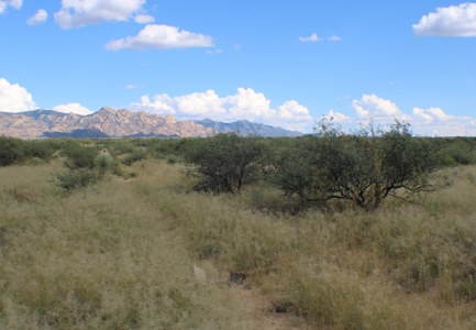 Spectacular panoramic views of the Dragoon Mountains - image 3