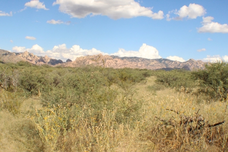 Spectacular panoramic views of the Dragoon Mountains - image 14
