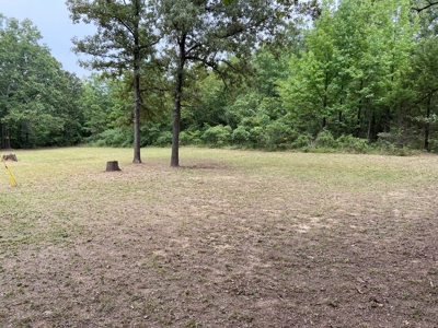 North Arkansas Home Site 6 Acres, Pond, Deer Hunting Land - image 3