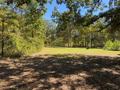 North Arkansas Home Site 6 Acres, Pond, Deer Hunting Land - image 15