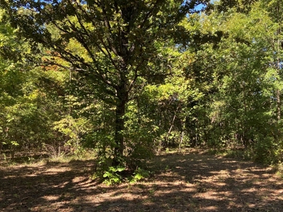 North Arkansas Home Site 6 Acres, Pond, Deer Hunting Land - image 16