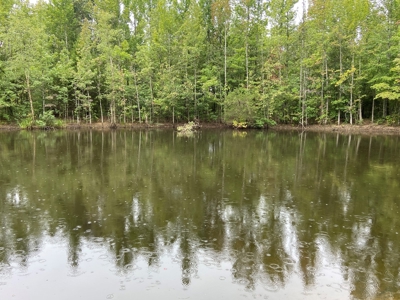 North Arkansas Home Site 6 Acres, Pond, Deer Hunting Land - image 11