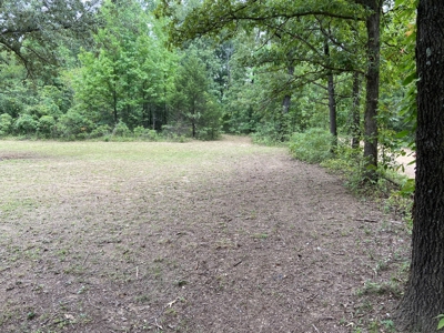 North Arkansas Home Site 6 Acres, Pond, Deer Hunting Land - image 2
