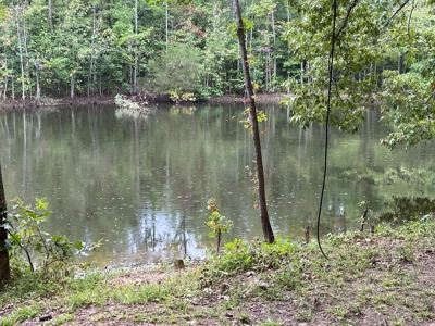 North Arkansas Home Site 6 Acres, Pond, Deer Hunting Land - image 9