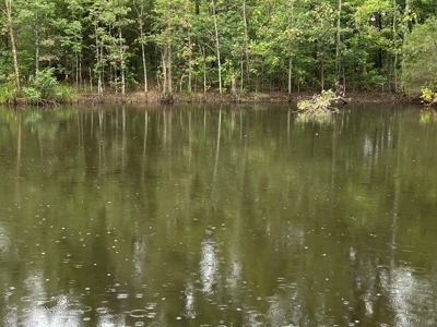 North Arkansas Home Site 6 Acres, Pond, Deer Hunting Land - image 10