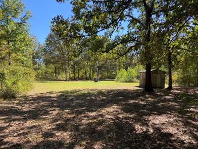 North Arkansas Home Site 6 Acres, Pond, Deer Hunting Land - image 14