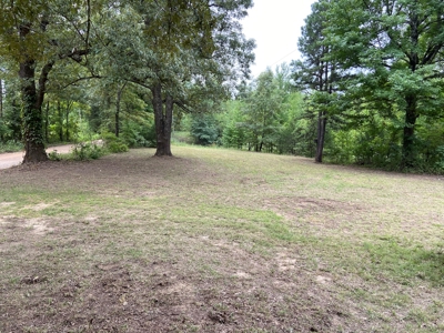 North Arkansas Home Site 6 Acres, Pond, Deer Hunting Land - image 5