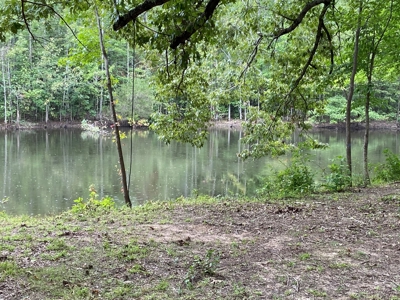 North Arkansas Home Site 6 Acres, Pond, Deer Hunting Land - image 8
