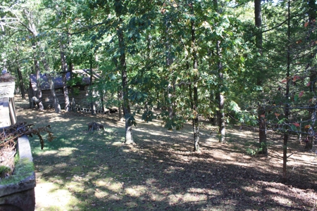 Piedmont Missouri Home and Land for Sale - image 32