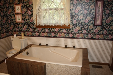 Piedmont Missouri Home and Land for Sale - image 7