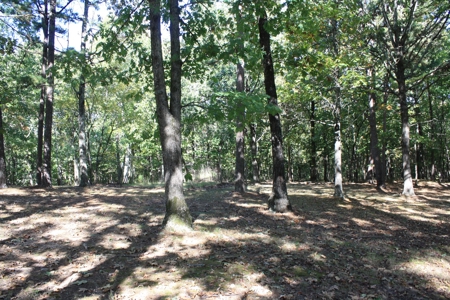 Piedmont Missouri Home and Land for Sale - image 43