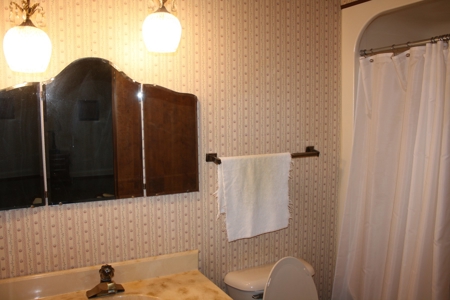 Piedmont Missouri Home and Land for Sale - image 11