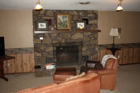 Piedmont Missouri Home and Land for Sale - image 21