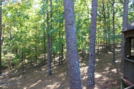 Piedmont Missouri Home and Land for Sale - image 33