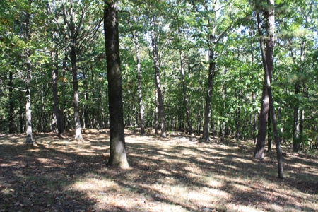 Piedmont Missouri Home and Land for Sale - image 42