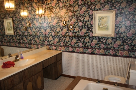 Piedmont Missouri Home and Land for Sale - image 6