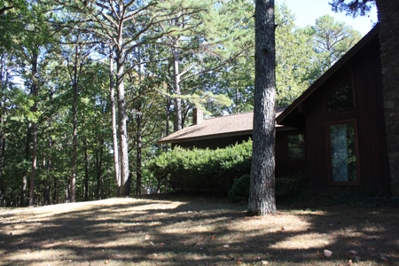 Piedmont Missouri Home and Land for Sale - image 39