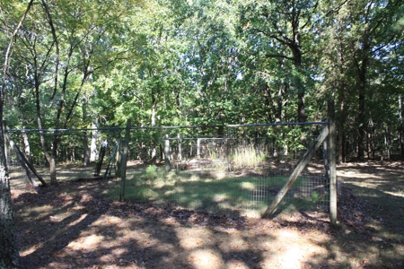Piedmont Missouri Home and Land for Sale - image 2