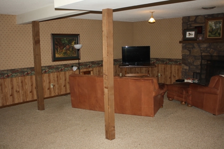 Piedmont Missouri Home and Land for Sale - image 27