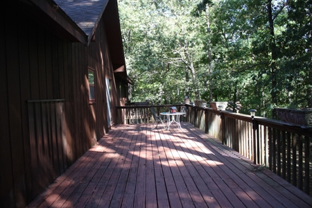 Piedmont Missouri Home and Land for Sale - image 30