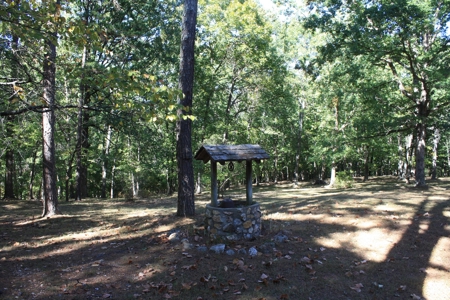 Piedmont Missouri Home and Land for Sale - image 37