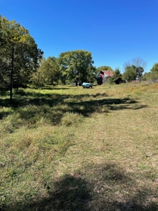 Brethorst Farm Tract 1 50.21 +/- ac - image 8